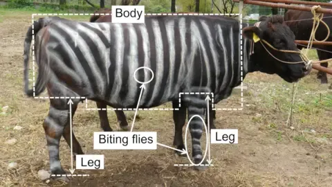 Striped Cattle and Slippery Edibles Claim Tongue-in-Cheek Academic Prizes